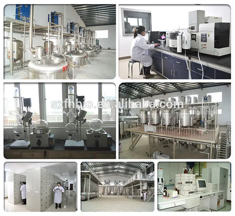 
Top Grade L-Tyrosine, Tyrosine Usp 