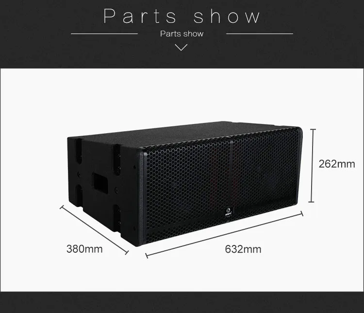 Pro Audio Active Dual 8 Inch Line Array  Speaker