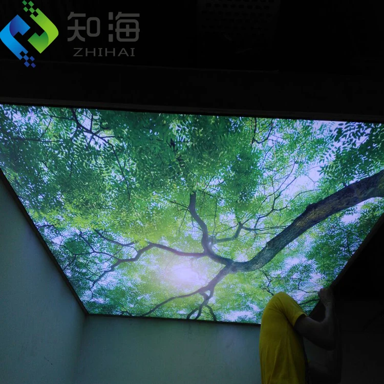 ZHIHAI home building material roof decorative ceiling tile
