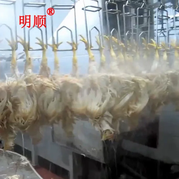 poultry slaughtering equipment for broiler / chicken / duck / goose / chicken slaughterhouse equipment