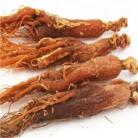Korean Ginseng P.E. , Korean/China Red Ginseng/ Ginseng Seed Powder Concentrate