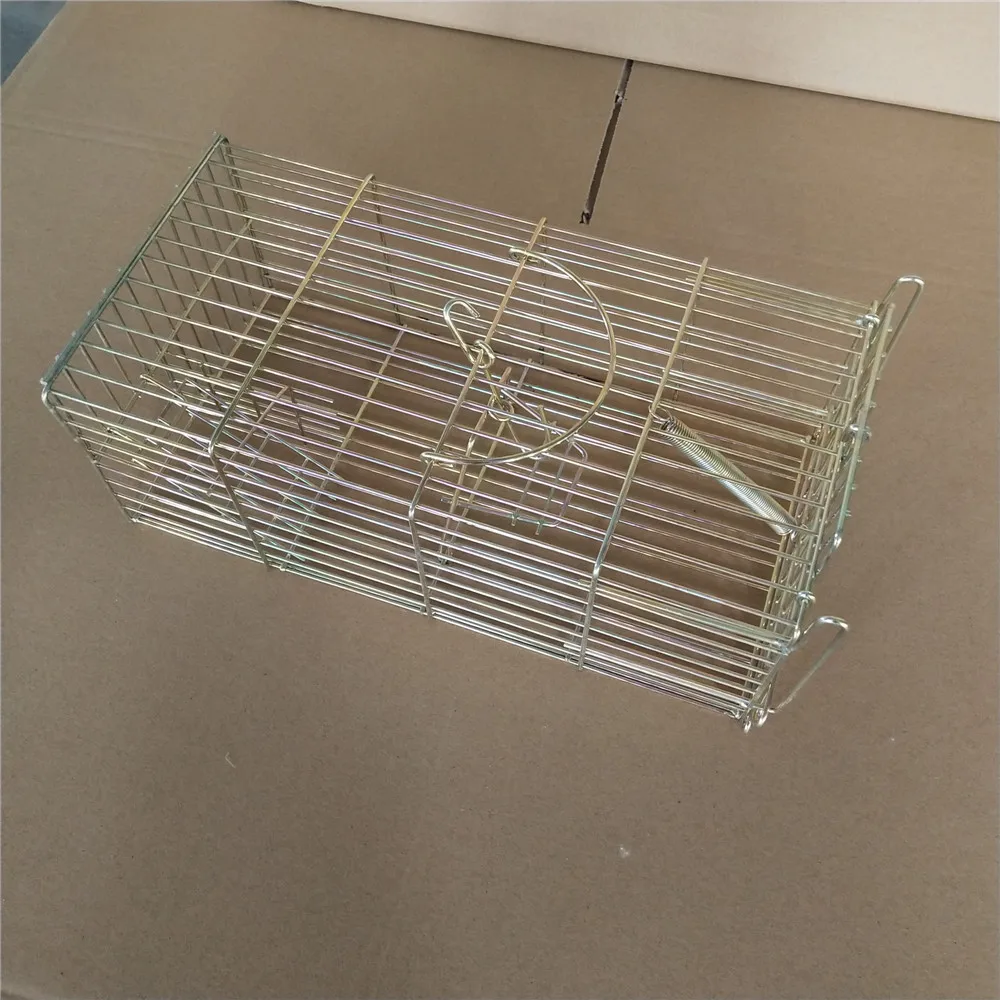 Chinese black Powder Coating Rabbit Cage trap