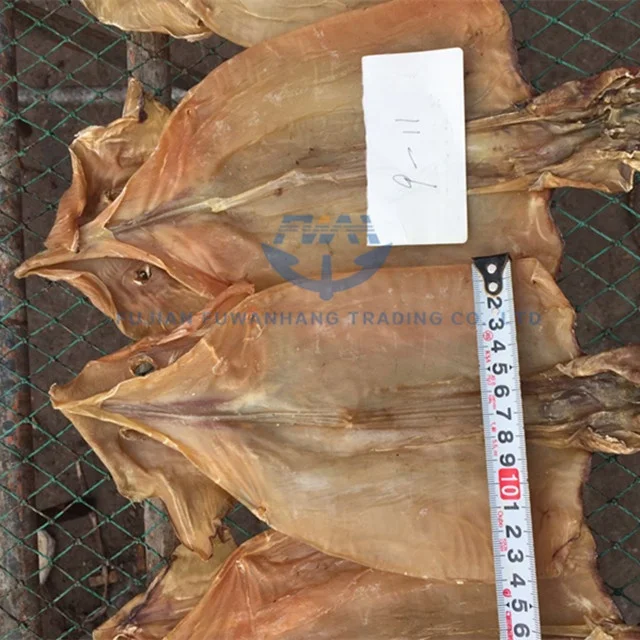
Dried Equator Squid For Korea Market 