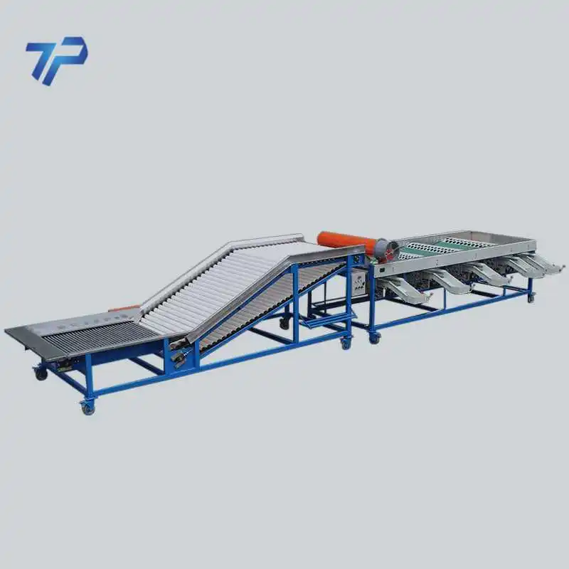 Чеснок сортируя машину для коммерчески используя с хорошей ценой