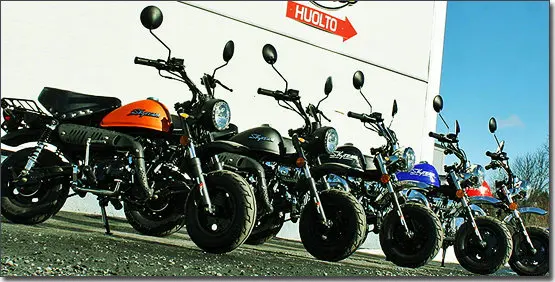 SKYTEAM E5 125cc 4 stroke Skymini monkey motorcycle monkey bike (EEC EUROV EURO5 APPROVED)