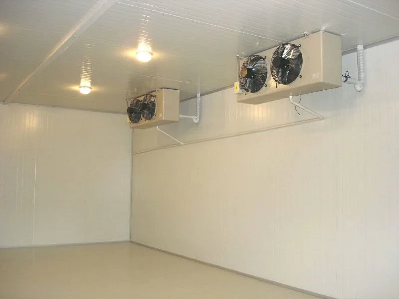 cold room to store fish meat and chicken with lowest price
