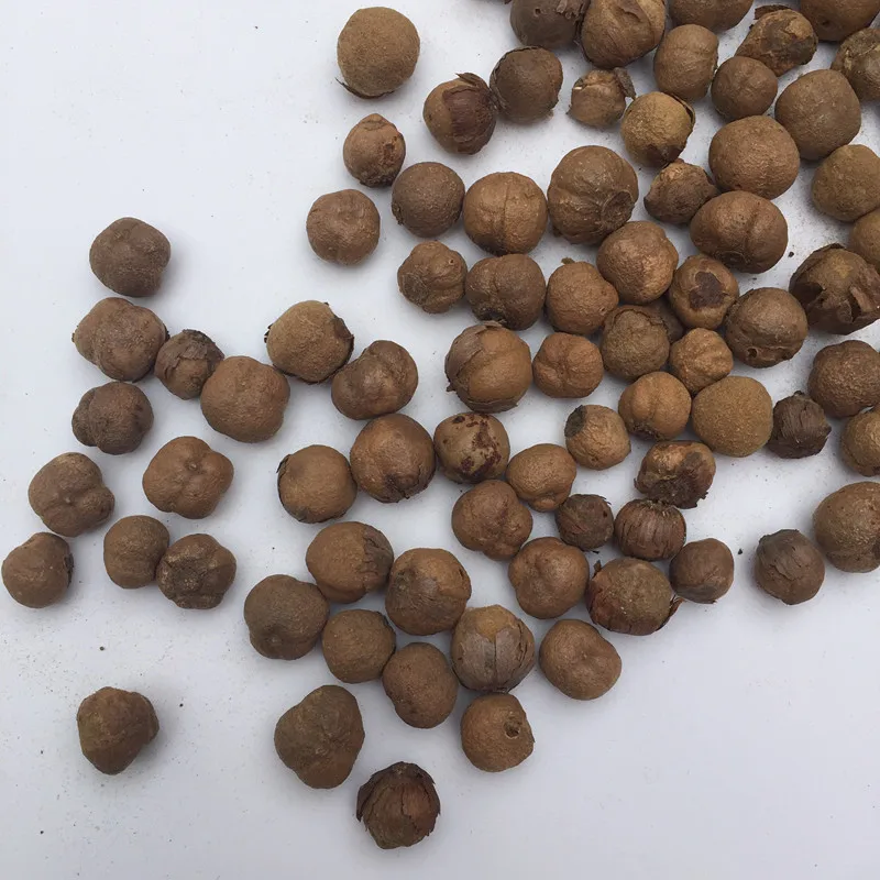 2021 новейшие семена дерева Бирма, семена тика для посева