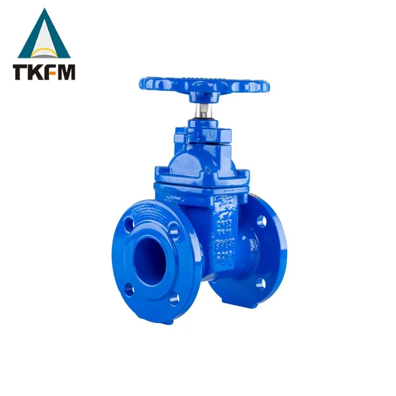 TKFM factory direct sale dn 80 steam power station flanged din cast iron epdm seal resilient gate valve