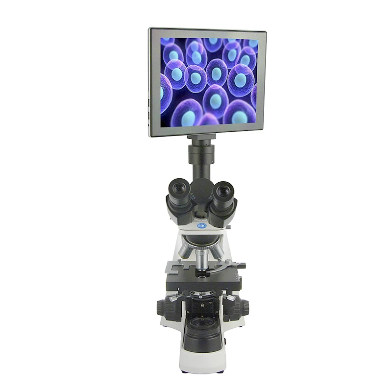 Цифровой Биологический микроскоп для наблюдения слайдов микроскопа