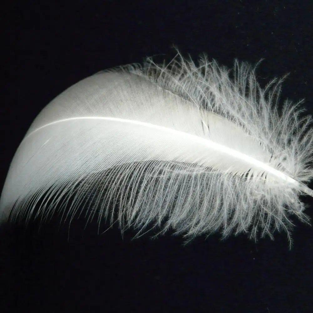 Washed White Goose Feather Sofa Cushion Pillow Filling Material