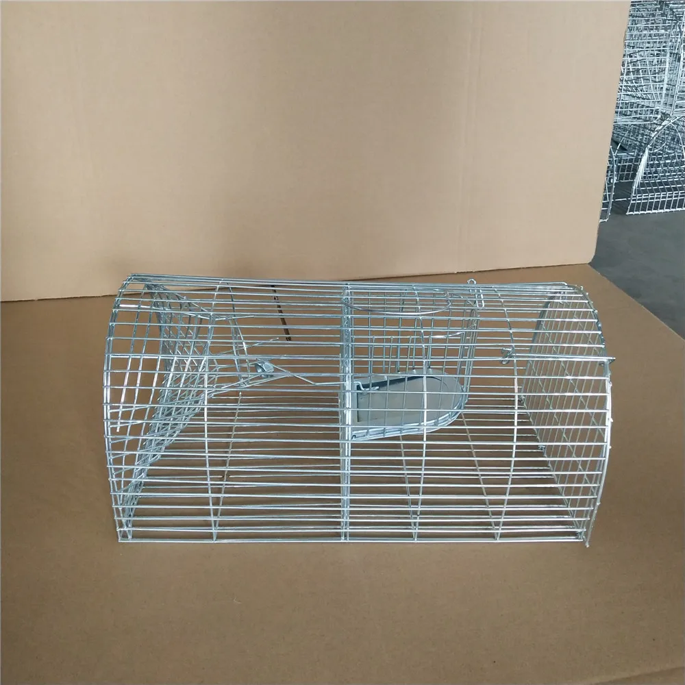 Chinese black Powder Coating Rabbit Cage trap