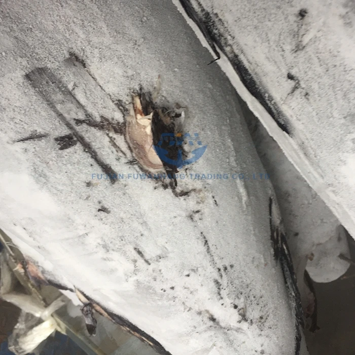 
Frozen black/blue marlin fish China factory price 