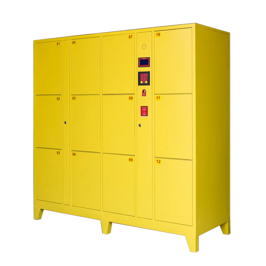 Multifunction electronic smart card storage pin code locker