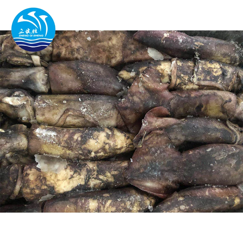 Китайский поставщик морской замороженный круглый кальмар для Индийского океана