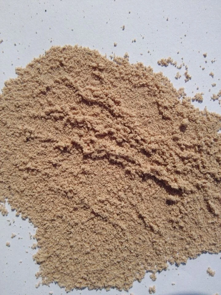 Supply high quality black bean powder, beans powder