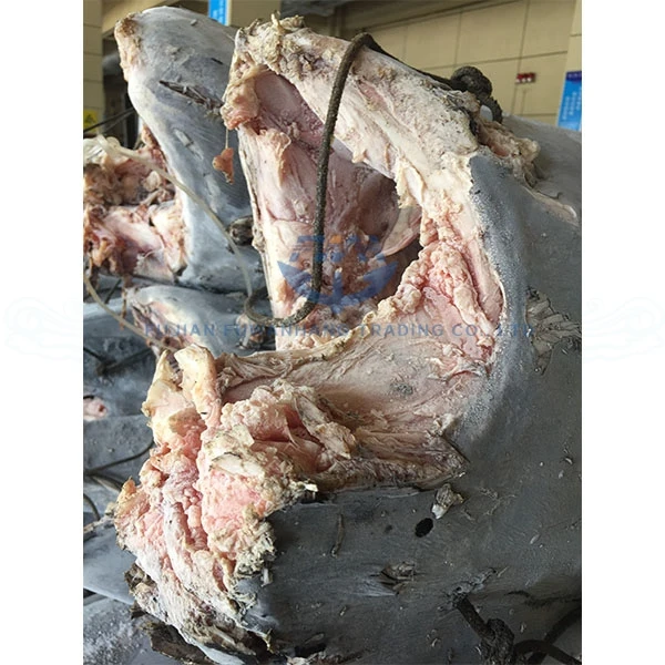 Seafrozen black marlin HGT, super frozen blue marlin, white marlin fish