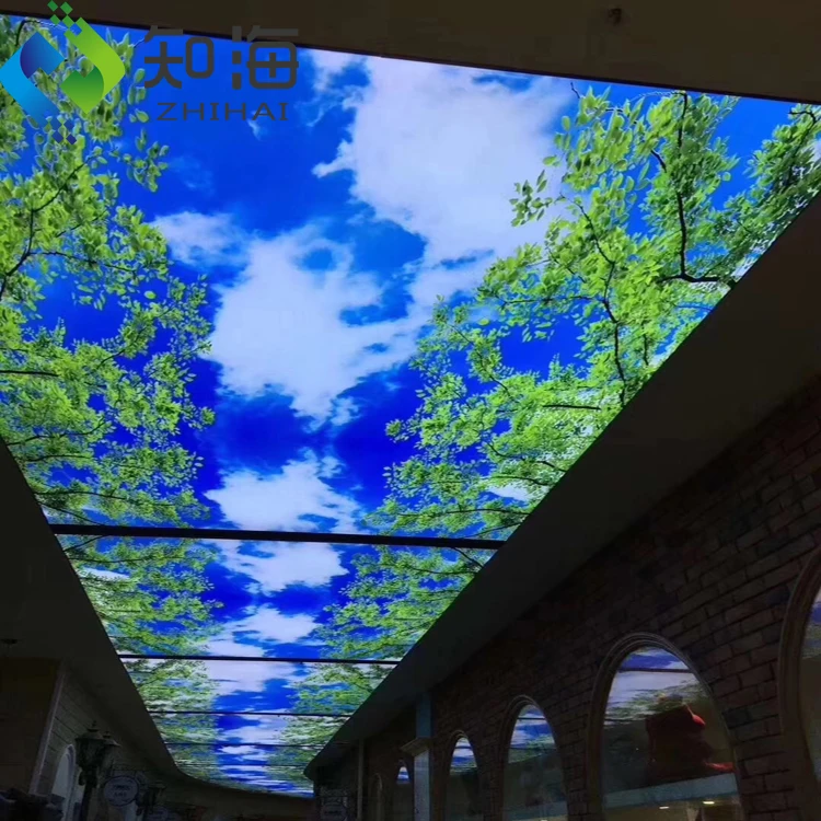 ZHIHAI home building material roof decorative ceiling tile