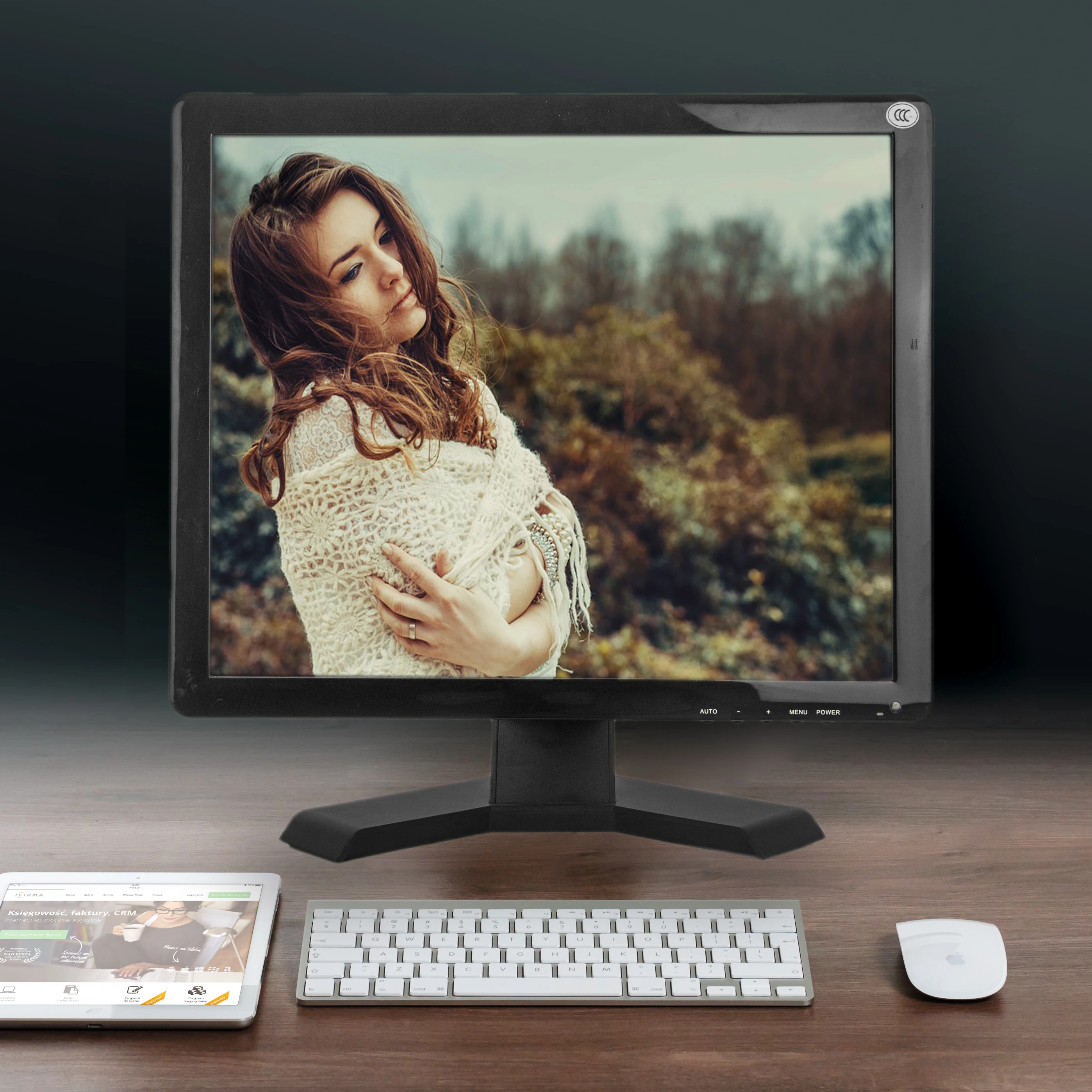 Шэньчжэнь Оптовая продажа с фабрики портативный цифровой ТВ 17 1080 ЖК поддержка дюймовый рекламный монитор P