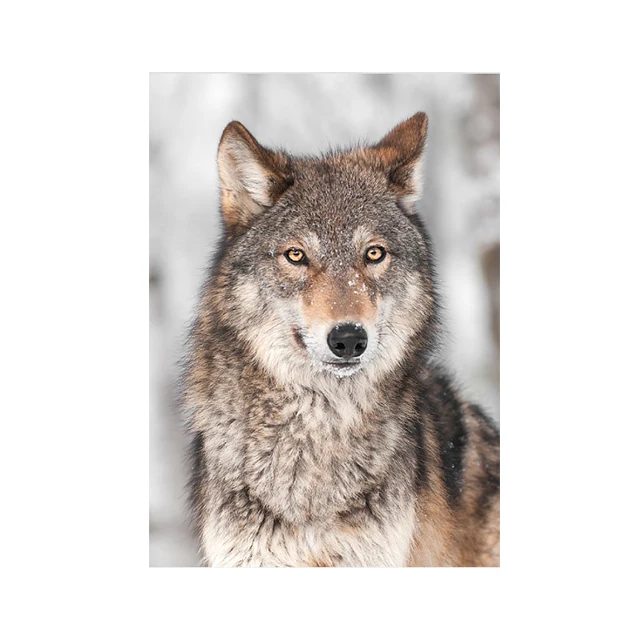 3d 50x70cm large size lenticular posters for trade show and exhibition poster