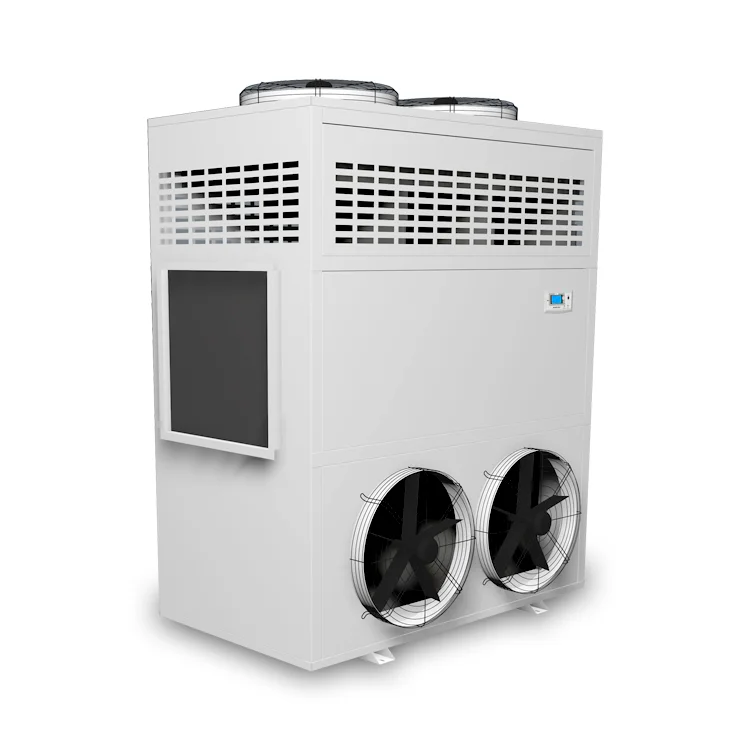 industrial dehumidifying cabinet bry air dehumidifier constant temperature and humidity unit