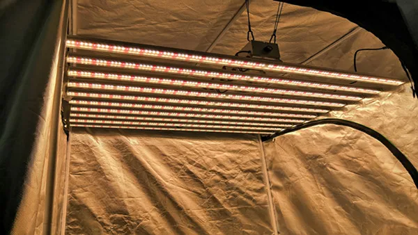 IP65 Waterproof adjustable equal 1000w hps led grow light bar 800w for indoor plants