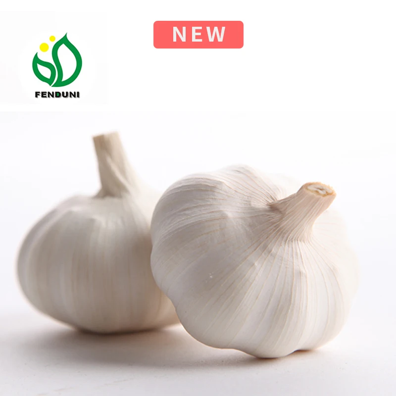 
2019 Garlic Fresh/Alho fresco/Ajo fresco/Ail frais 