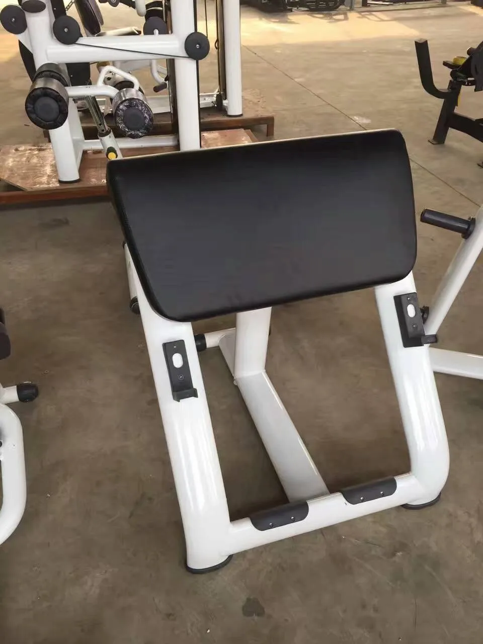 biceps benches Sports Equipment/Gym Commercial Machines for Body Building