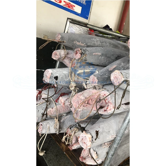 Seafrozen black marlin HGT, super frozen blue marlin, white marlin fish