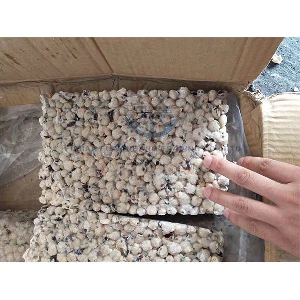 
Frozen Squid Mouth Giant Squid Beak for processing 