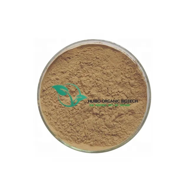 Hyssop Extract 10:1  / Hyssopus officinalis powder