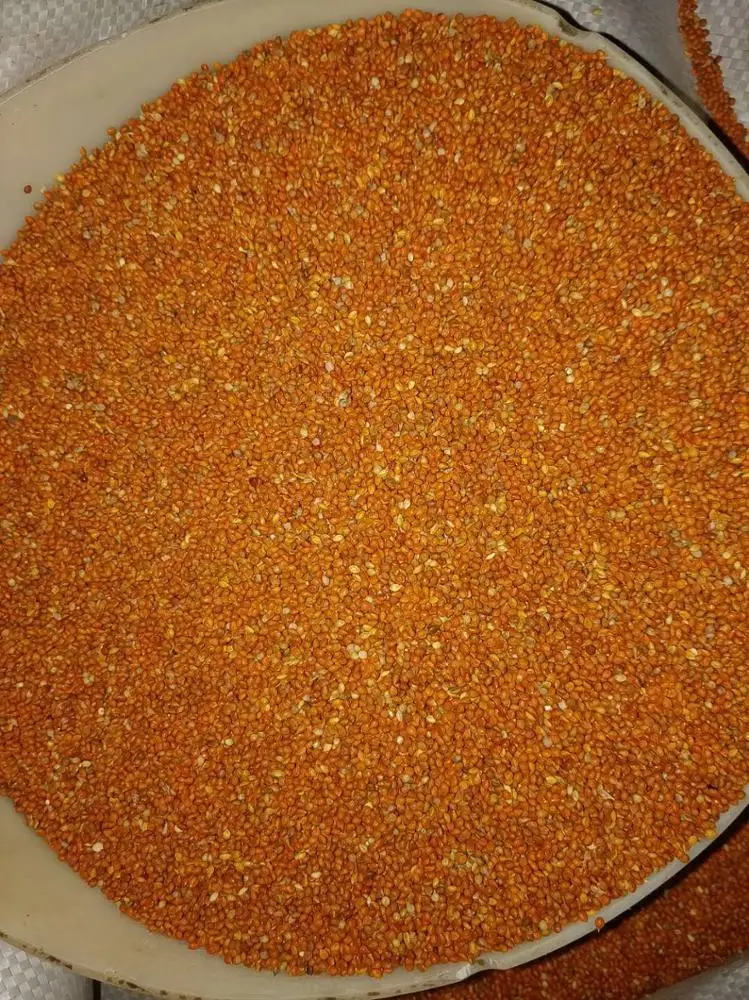 
Red millet in husk 