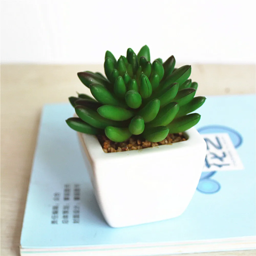 Mini Natural Real Decorative Artificial Succulent Plants