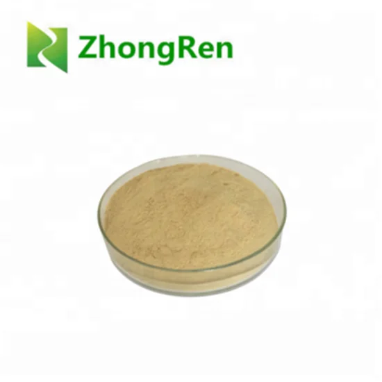 Korean Ginseng P.E. , Korean/China Ginseng Extract , Ginseng Seed Ginseng Powder Concentrate