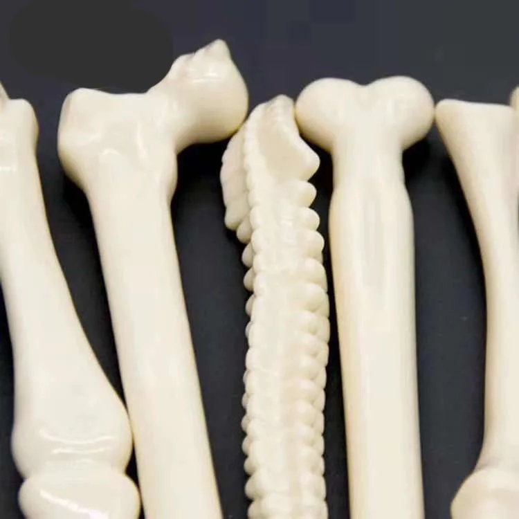 Novelty Bone Shape Pen Ball Pen for Souvenirs Promotional Bone Ball Pen