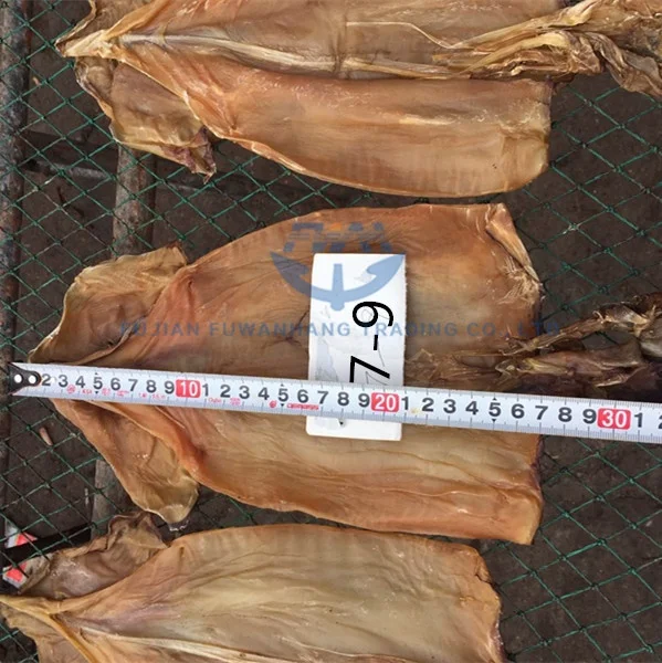 
Dried Equator Squid For Korea Market 