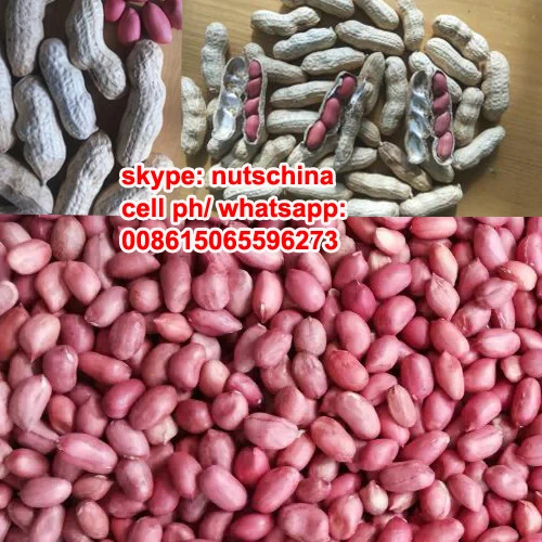 China shandong silihong red skin peanuts kernels 40/50 50/60 60/70 80/100