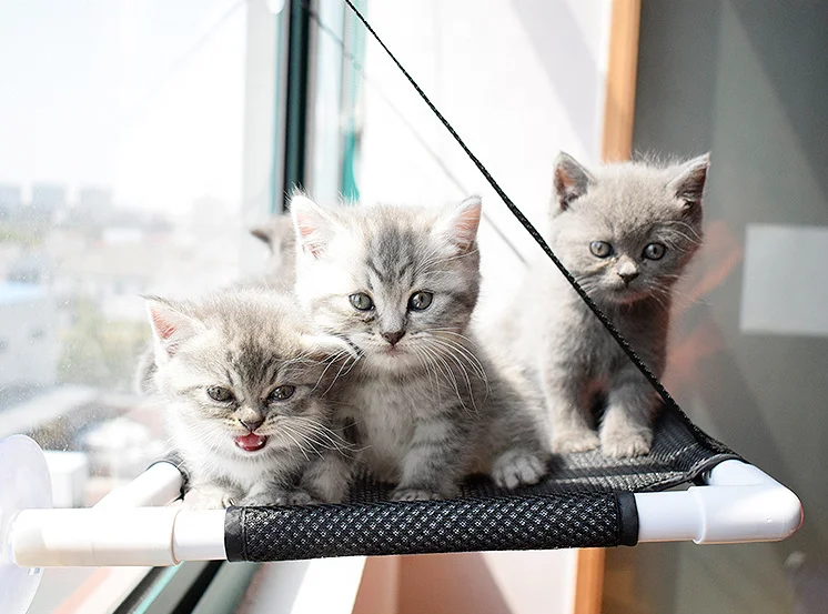 Оптовая продажа, сиденье на окно для кошки с сильным всасыванием, кровать для кошки, Летний стиль, гамак на окно для кошки