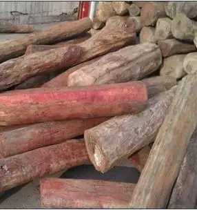 Beli wood timber and eak, Merbau, Burma Padauk, Oak, Manchurian Ash, Cedar