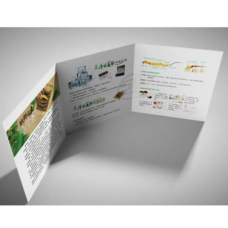 Новая небольшая брошюра/каталог на заказ, брошюра, брошюра, листовка