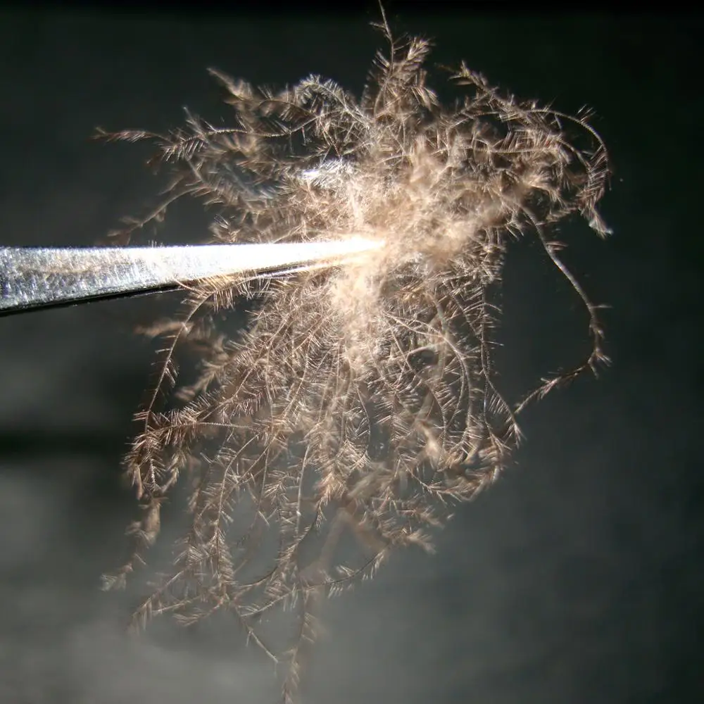 high quality feather washed grey duck down 90%  for filling