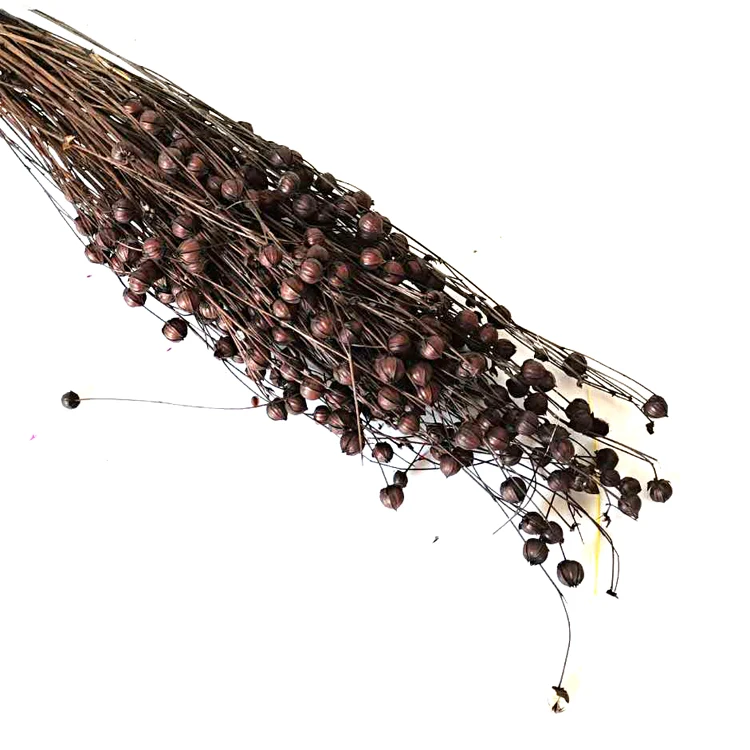 
Bulk Dried Flowers Purple Preserved Flower Dried Flower 