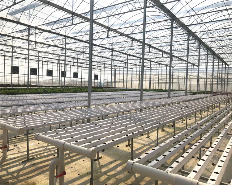 Hydroponic Nutrients Planting Tomatoes With PP Rolls