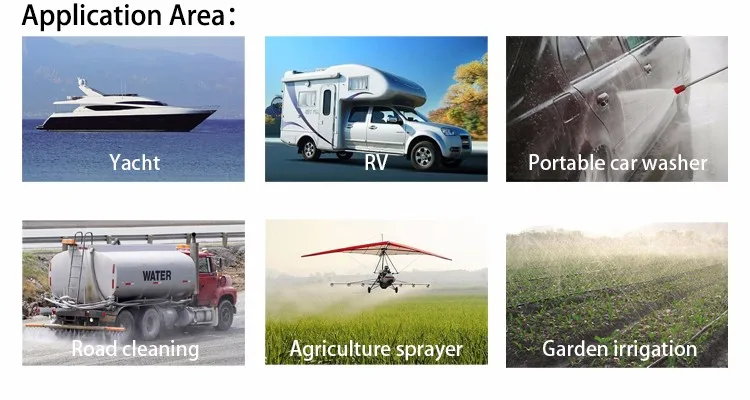 CANFLO 17L/min 40 psi 12v  dc pump marine for water supply