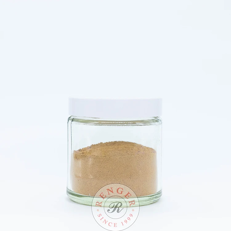 Malaysia Halal Certificated 12 Months Shelf-life Renger Milk Chocolate Flavor Food Additives Milk Chocolate Booster Powder