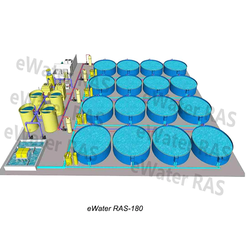 Aquaculture water treatment equipment for indoor intensive Recirculating Aquaculture Systems fish farming