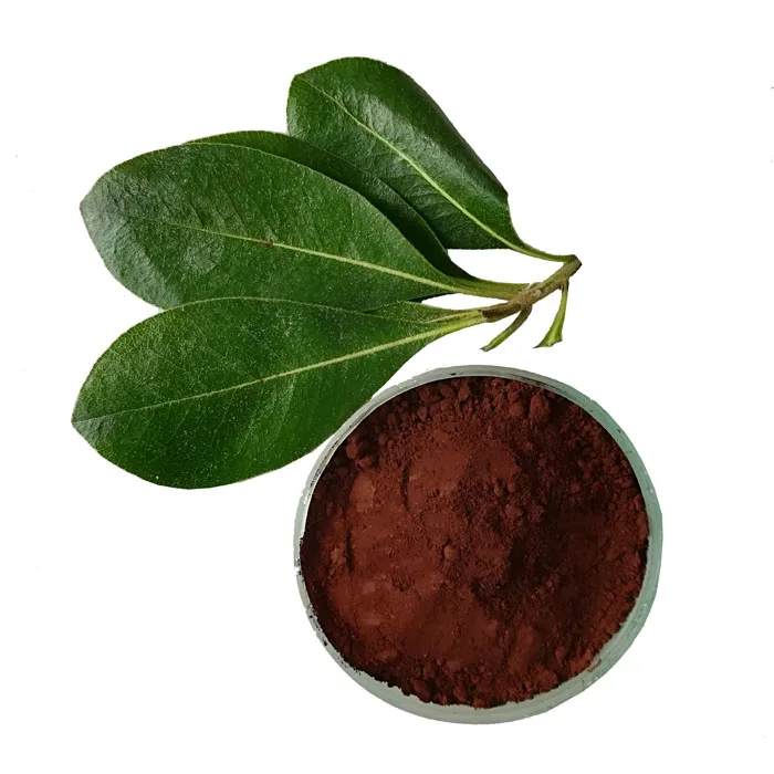 Iron oxide red Fe2O3 / CAS:1332-37-2 / ISO certified manufacturer