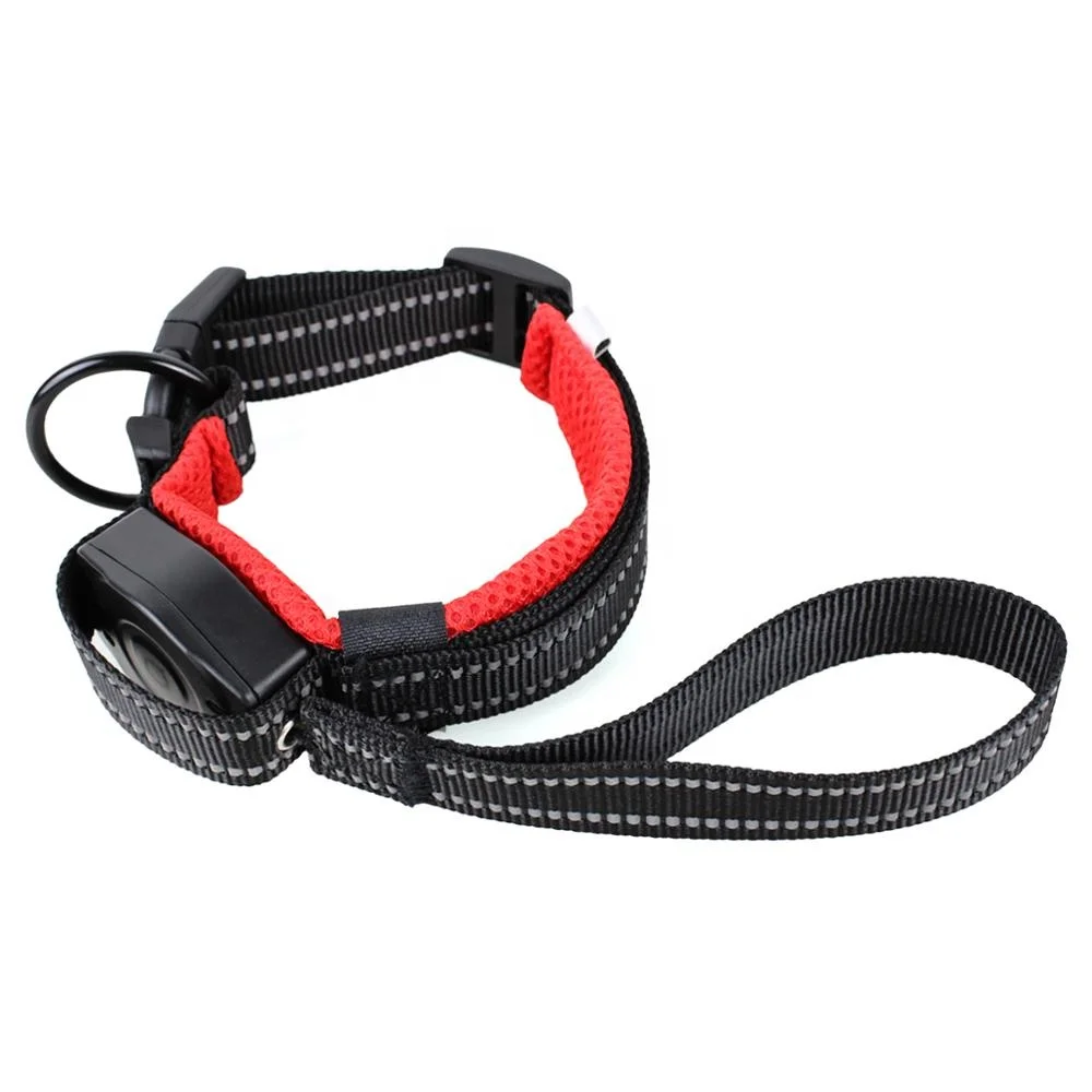 Pet Supplies Dog Collar Leash with Buckle Collar Elastic Adjustable Leash AutomaticallyRetract Pet Leash New Design for Dogs