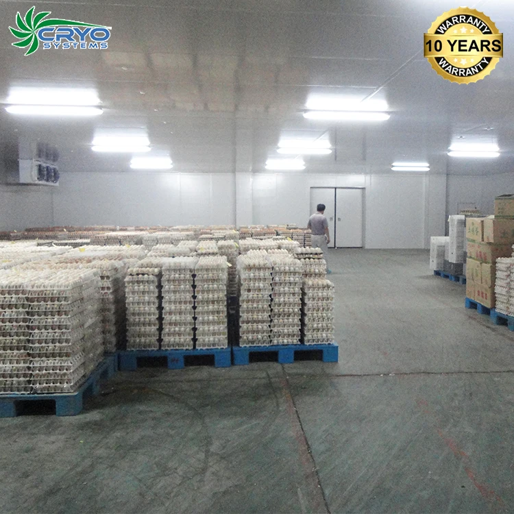 Vegetables Fish Food Quick Shock Freezer Equipment for Black Rose Plants Lobster Frozen Chicken Meat