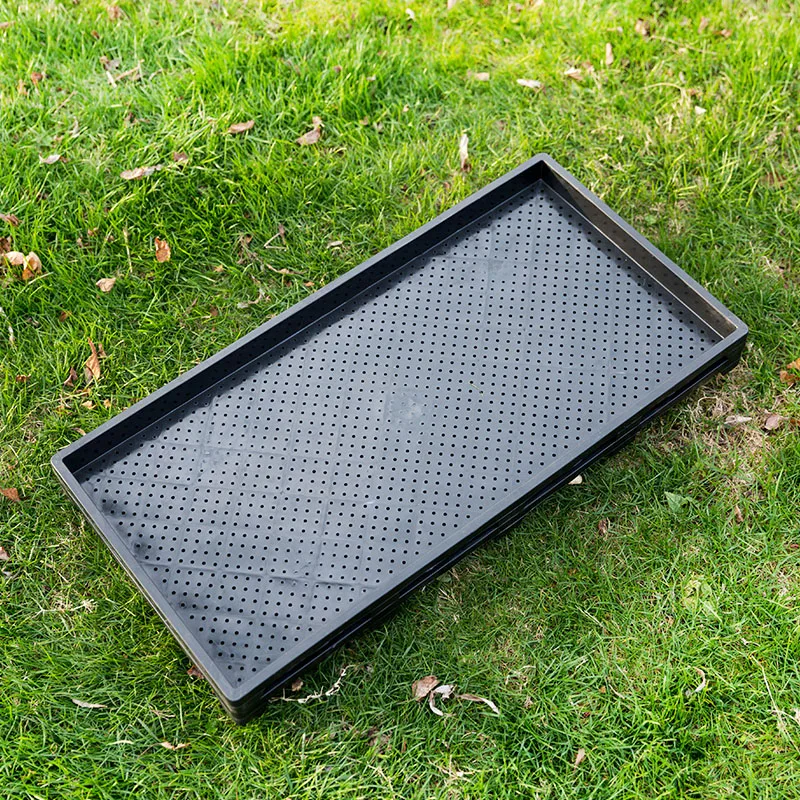 600*300*35mm Plastic Tray With Holes Rice Seeding Tray Wholesale Manufacturer