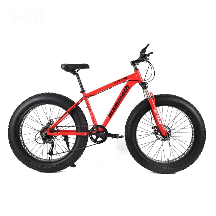 Best single speed fat bike/balloon tire bikes for sale/mountain bikes with big wheels